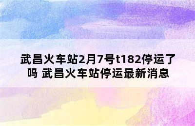 武昌火车站2月7号t182停运了吗 武昌火车站停运最新消息